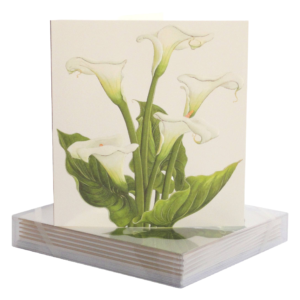 Calla Lily Group Sympathy Card