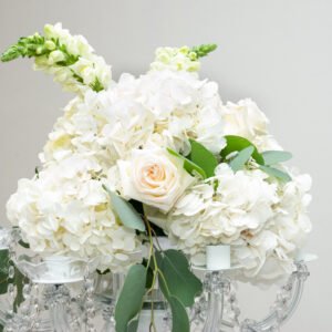 Blanche Éternelle – “Eternal White”